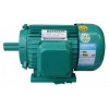 山東三相異步電動機
